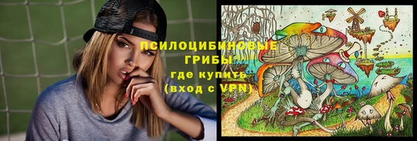 эйфоретик Бронницы
