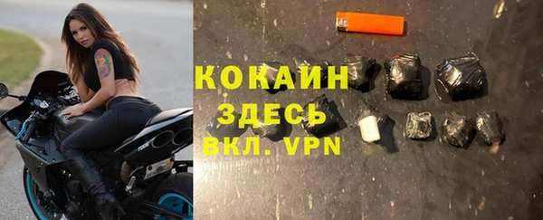 МДПВ Тайга