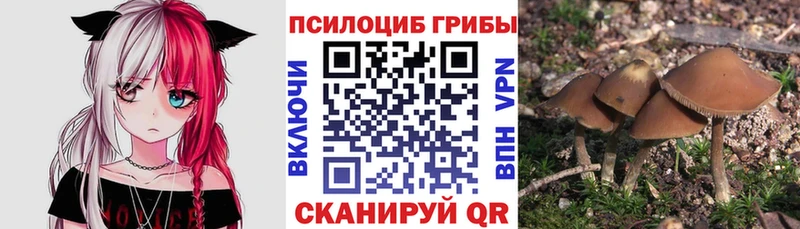 Псилоцибиновые грибы Magic Shrooms  купить  цена  Нерюнгри 